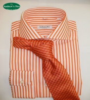 Andrew's Ties Webshop Collection  2013