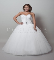 Szalagavató Gyűjtemények  2015