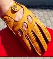 Alpa Gloves Collection  2016