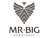Mr Big Underwear